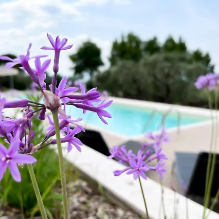 Monsurei, View Apartament *